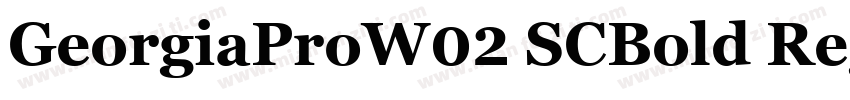 GeorgiaProW02 SCBold Regular字体转换